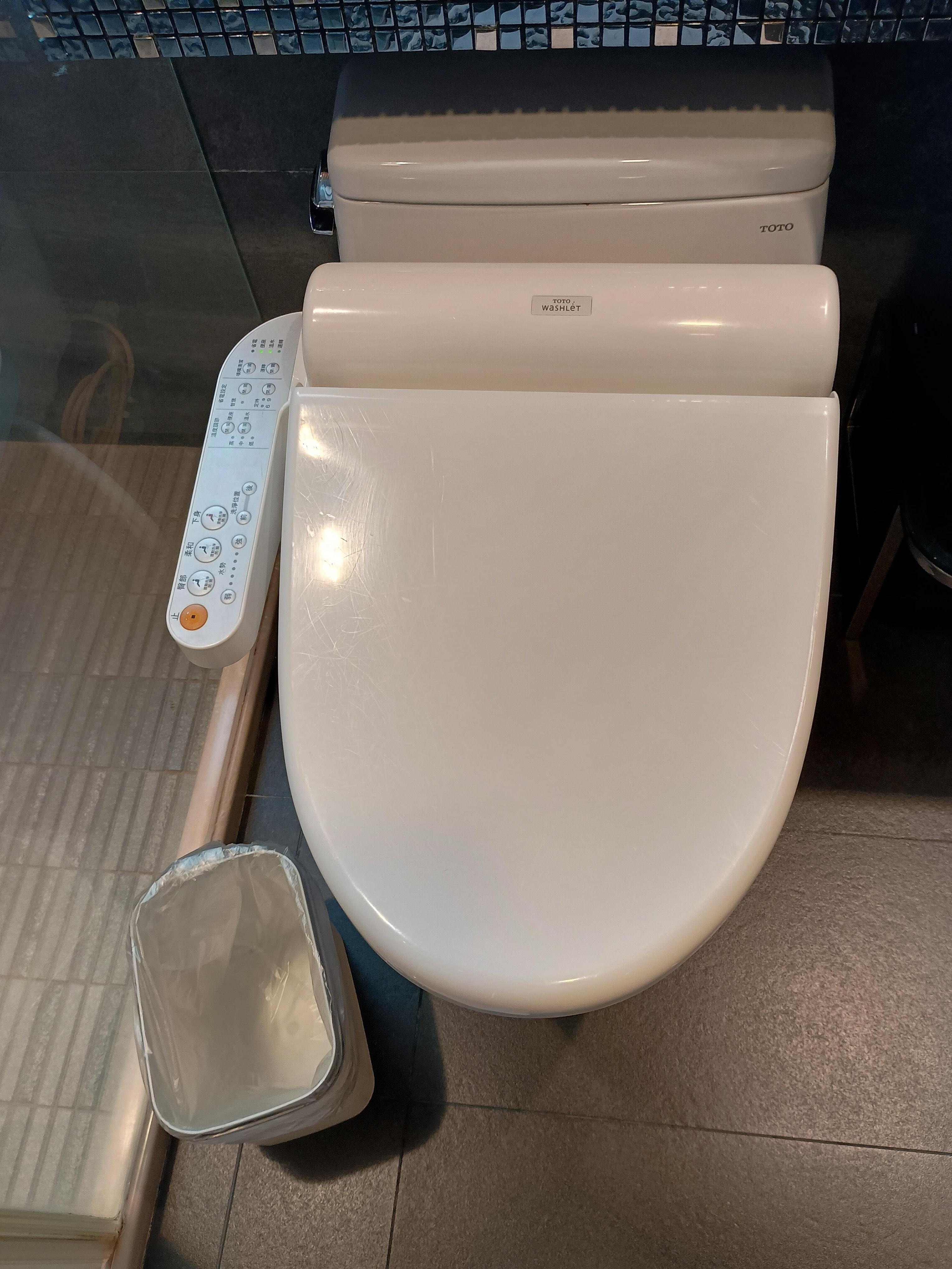 便器の横にあるのがごみ箱と思います。
ここに使用した紙（普通ののティッシュぺーおあーです）を捨てるらしい。