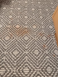 Red stains all over the carpet throughout the room