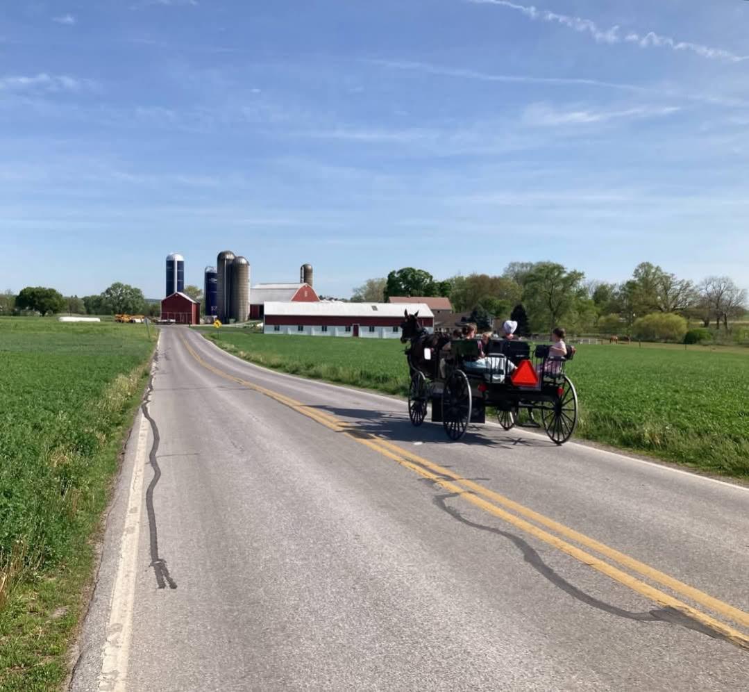 Amish family buggy.  There is a place that gives buggy rides! 