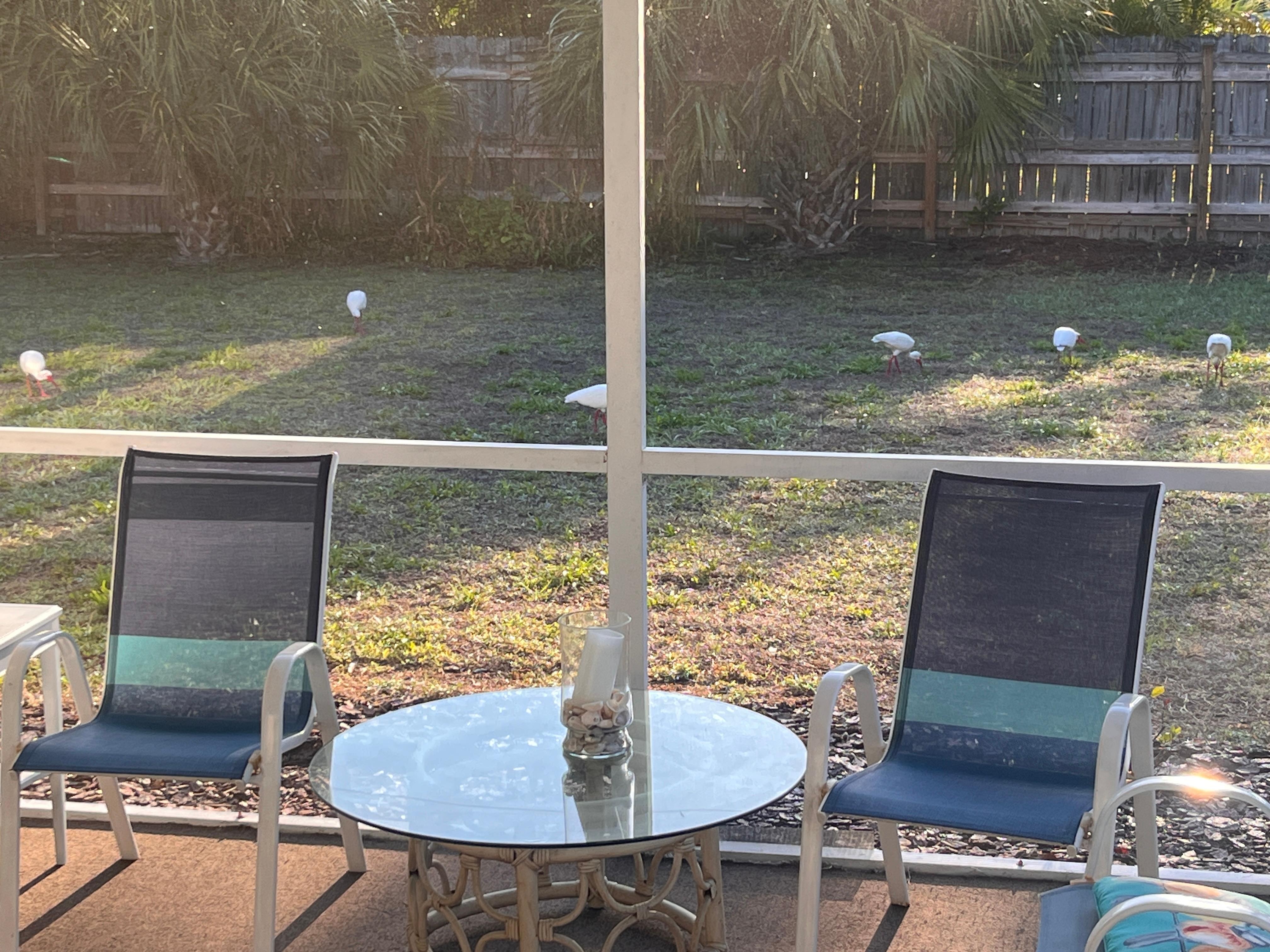 The ibis lawn crew worked almost every day.