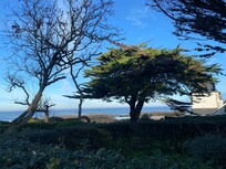 Vue depuis le jardin