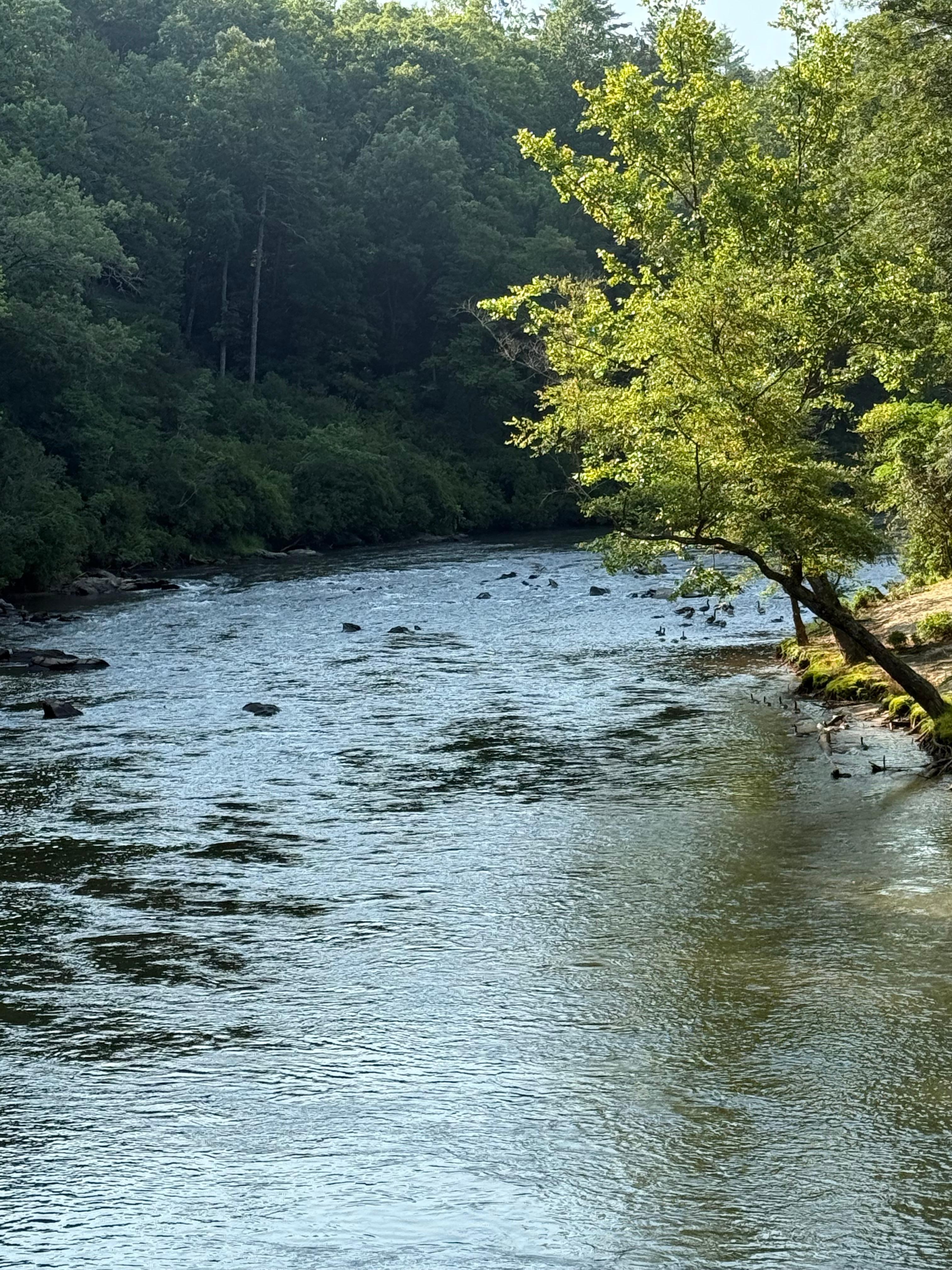 View from cabin deck