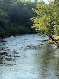 View from cabin deck