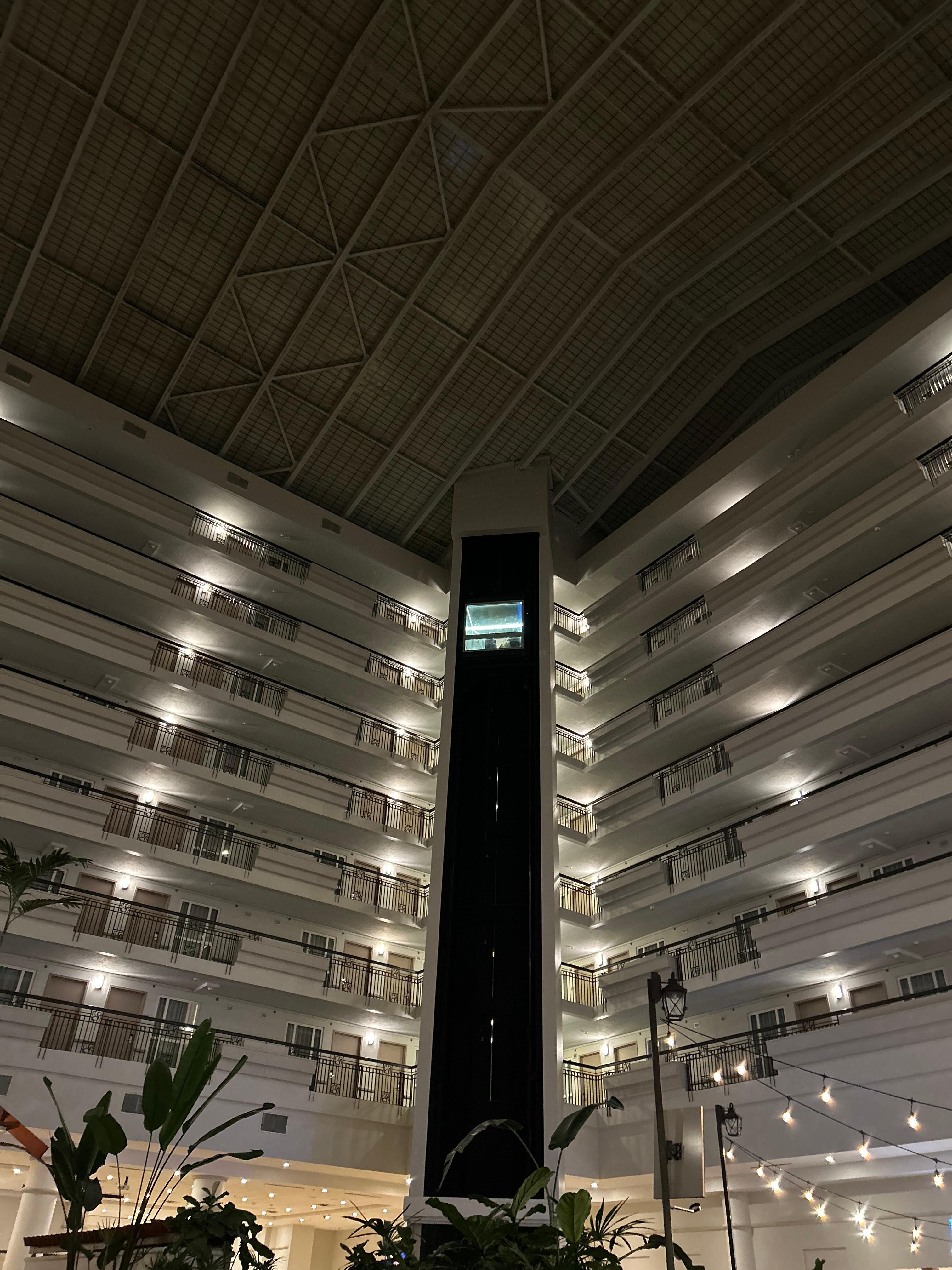 Inside looking up