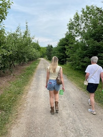 Strawberry picking