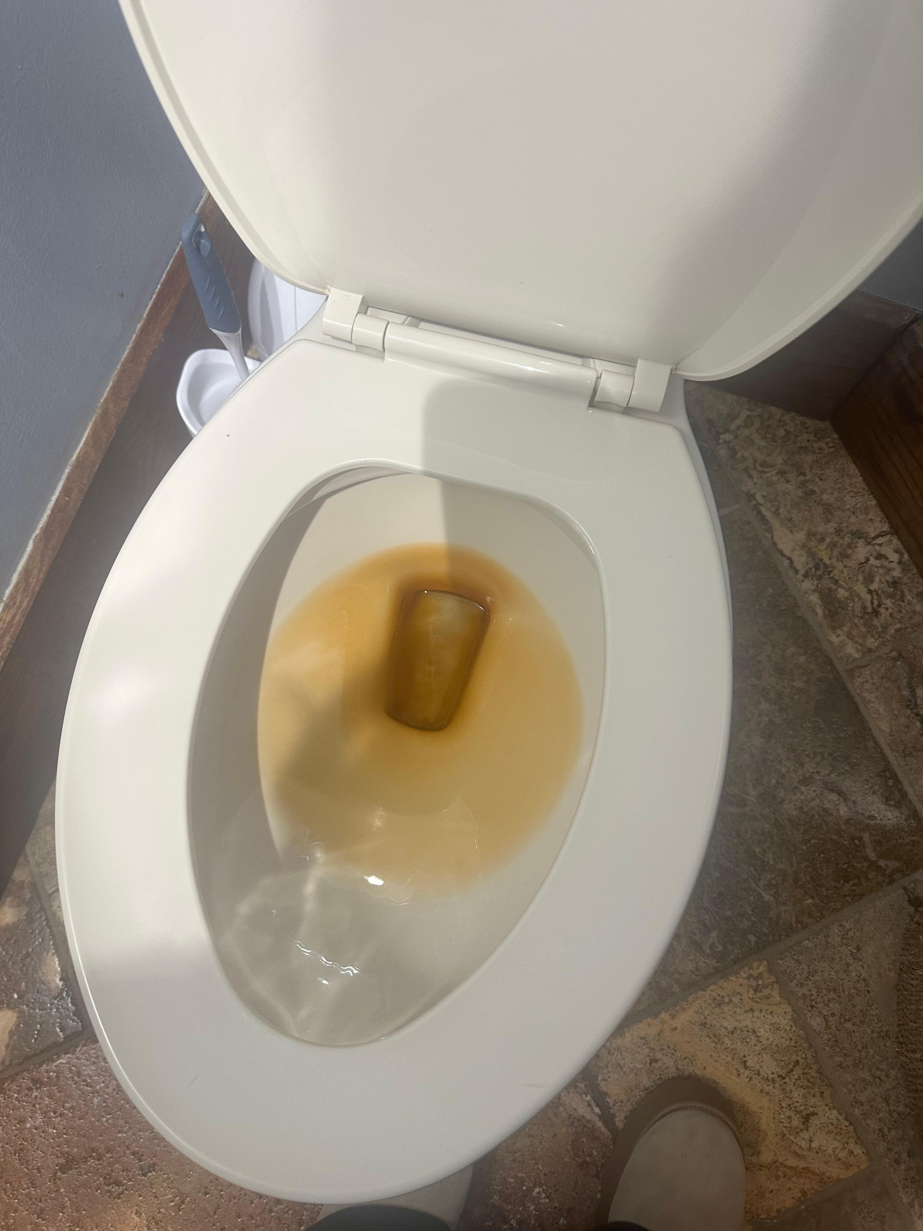 Moldy toilet 