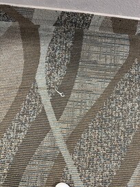 Dental Gisser in hallway that remained there for 3 days