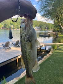 First day fishing off the dock.