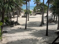The beach outside the Emerald Suite.