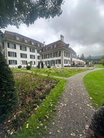 View fro the garden