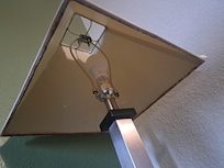 Lamp shade had mold/mildew