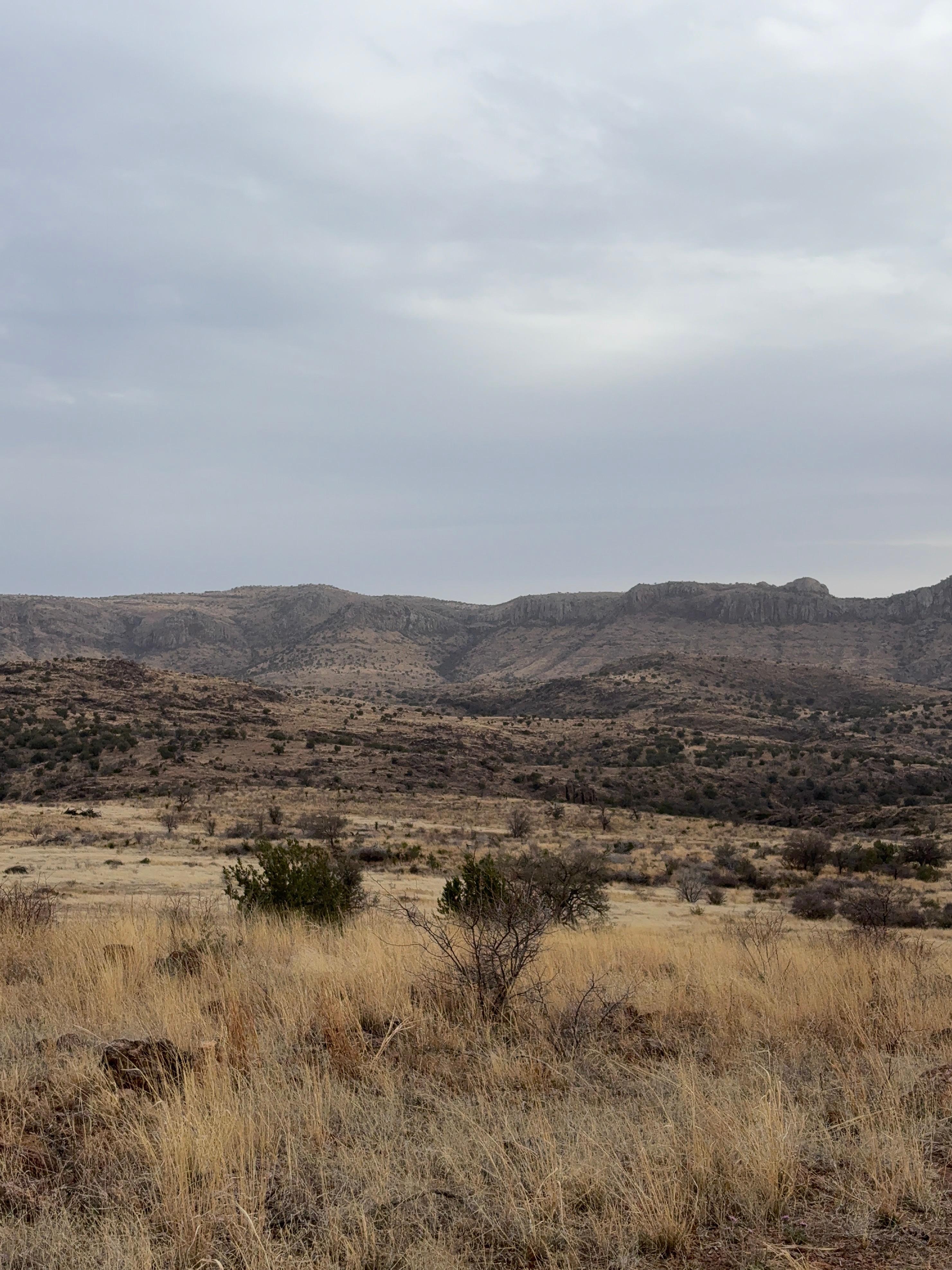Out on hike on property 