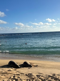 Poipu Beach by Marriott - Seals often come