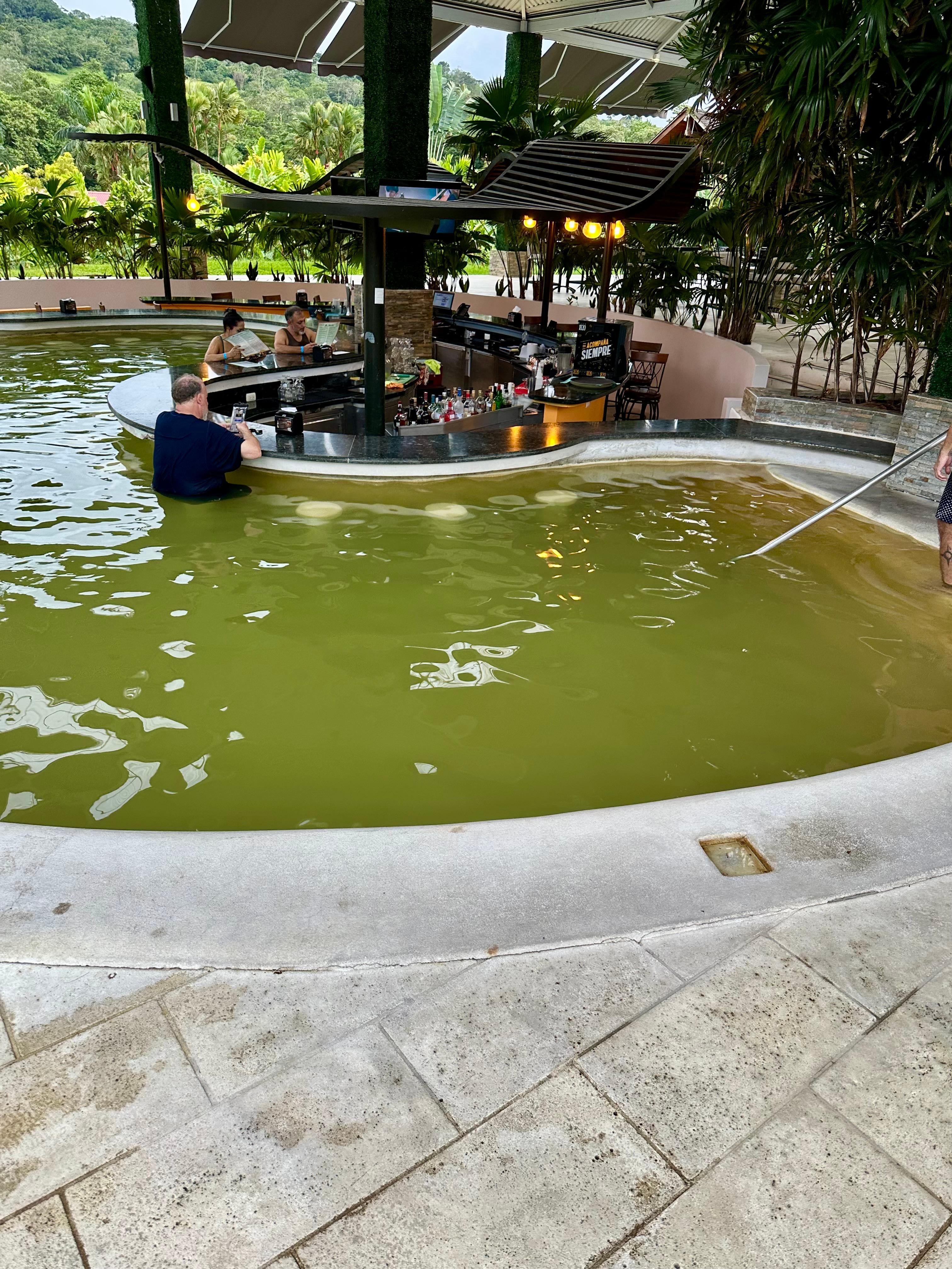 Pool bar mucky 