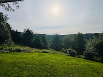 View from the veranda with my morning coffee
