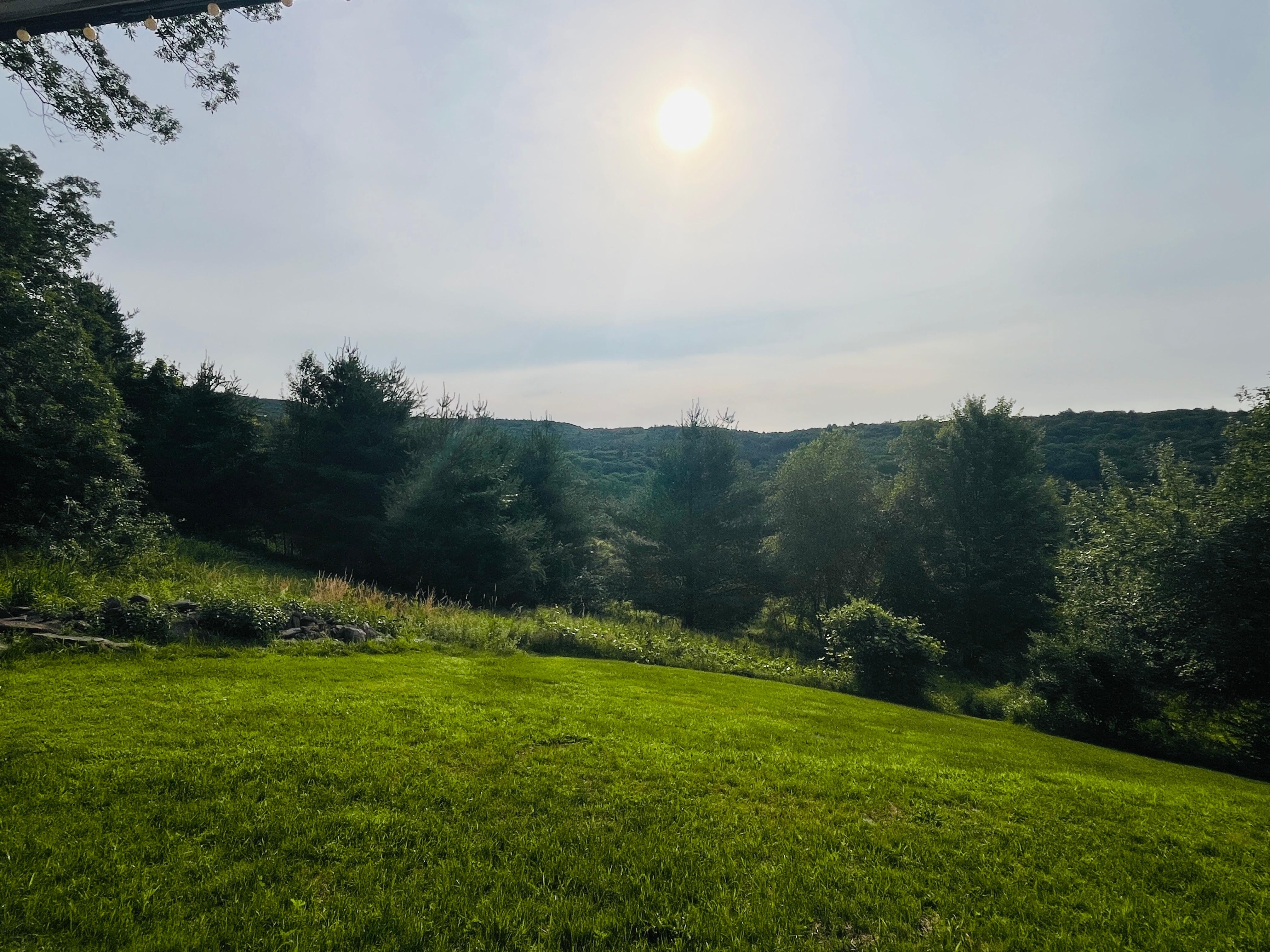 View from the veranda with my morning coffee 