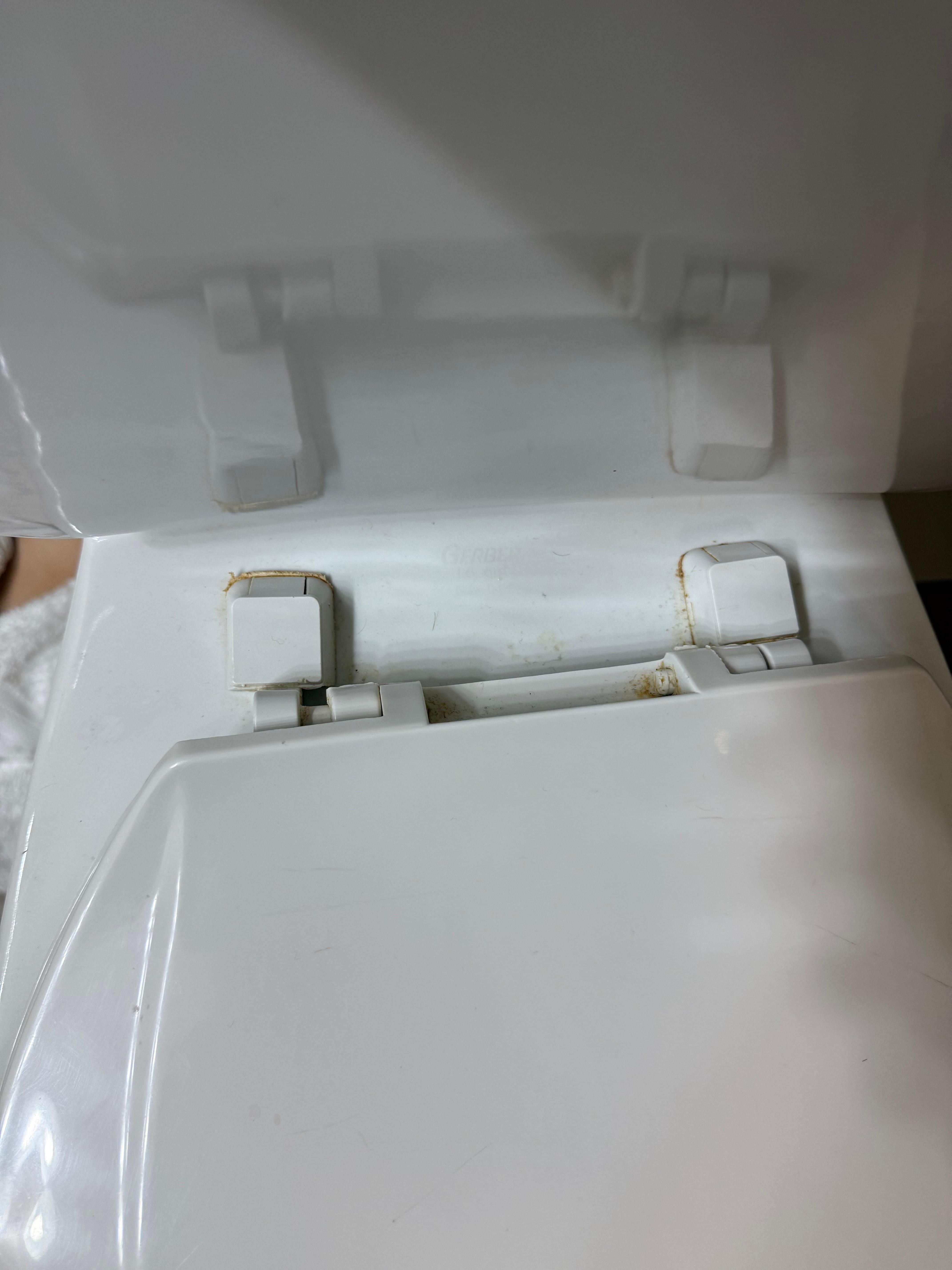 Crusty toilet, indicative of the cleanliness of the rest of the hotel.