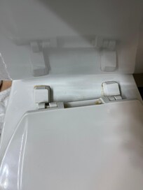 Crusty toilet, indicative of the cleanliness of the rest of the hotel.