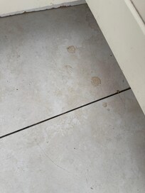 Dirty kitchen floor