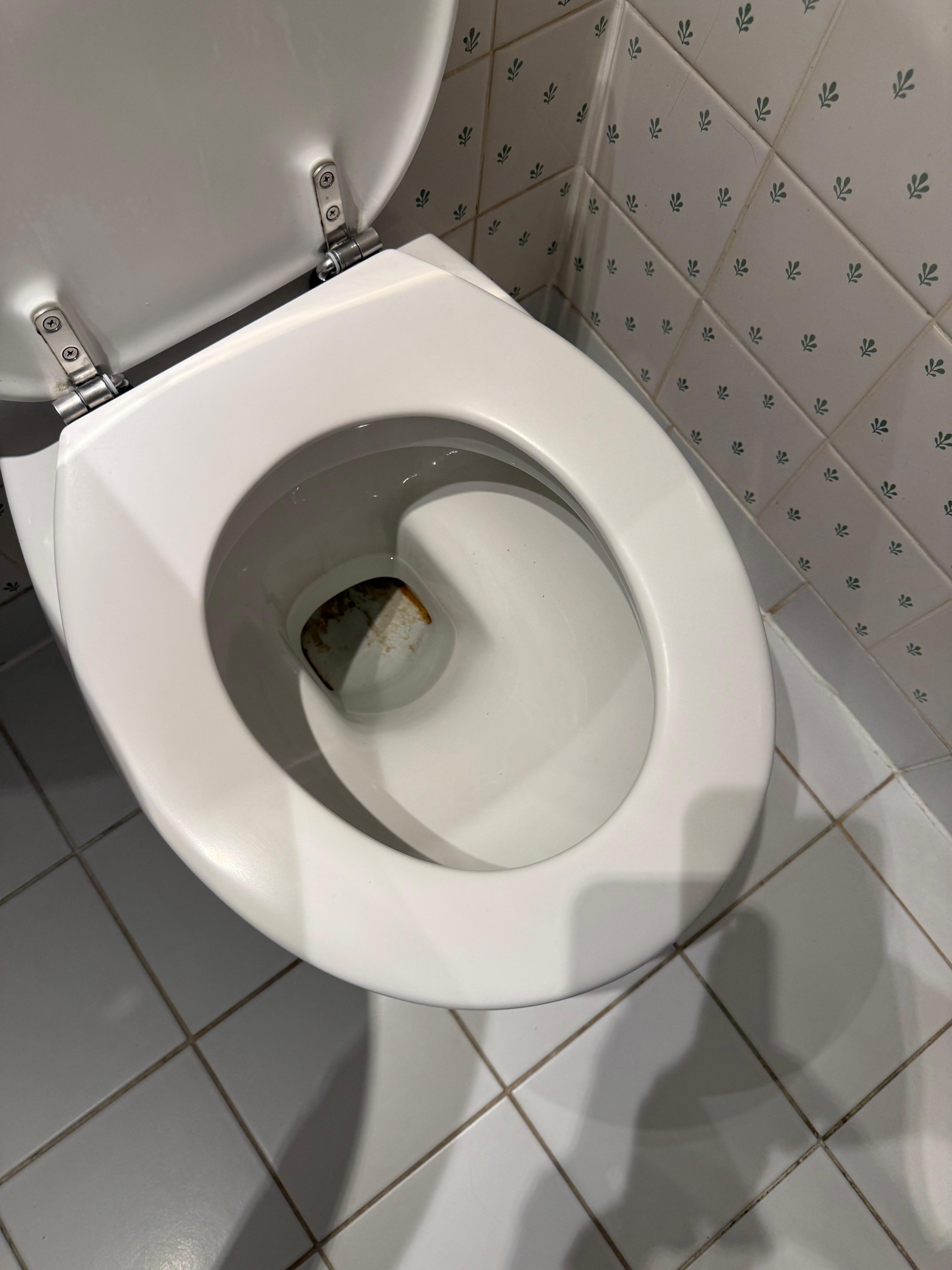 Toilet cleanliness (85 and 83) 