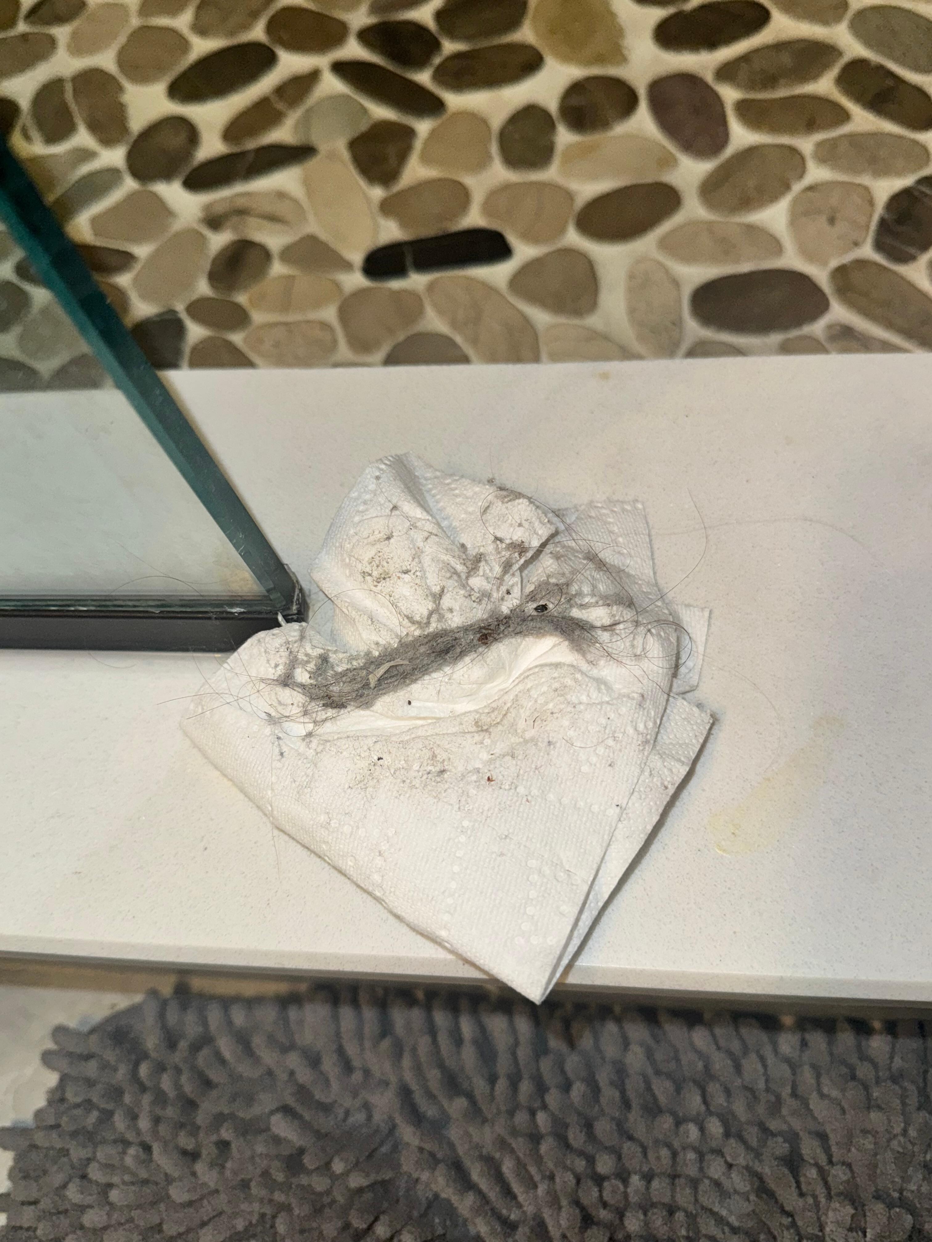 Hair around baseboards and in shower