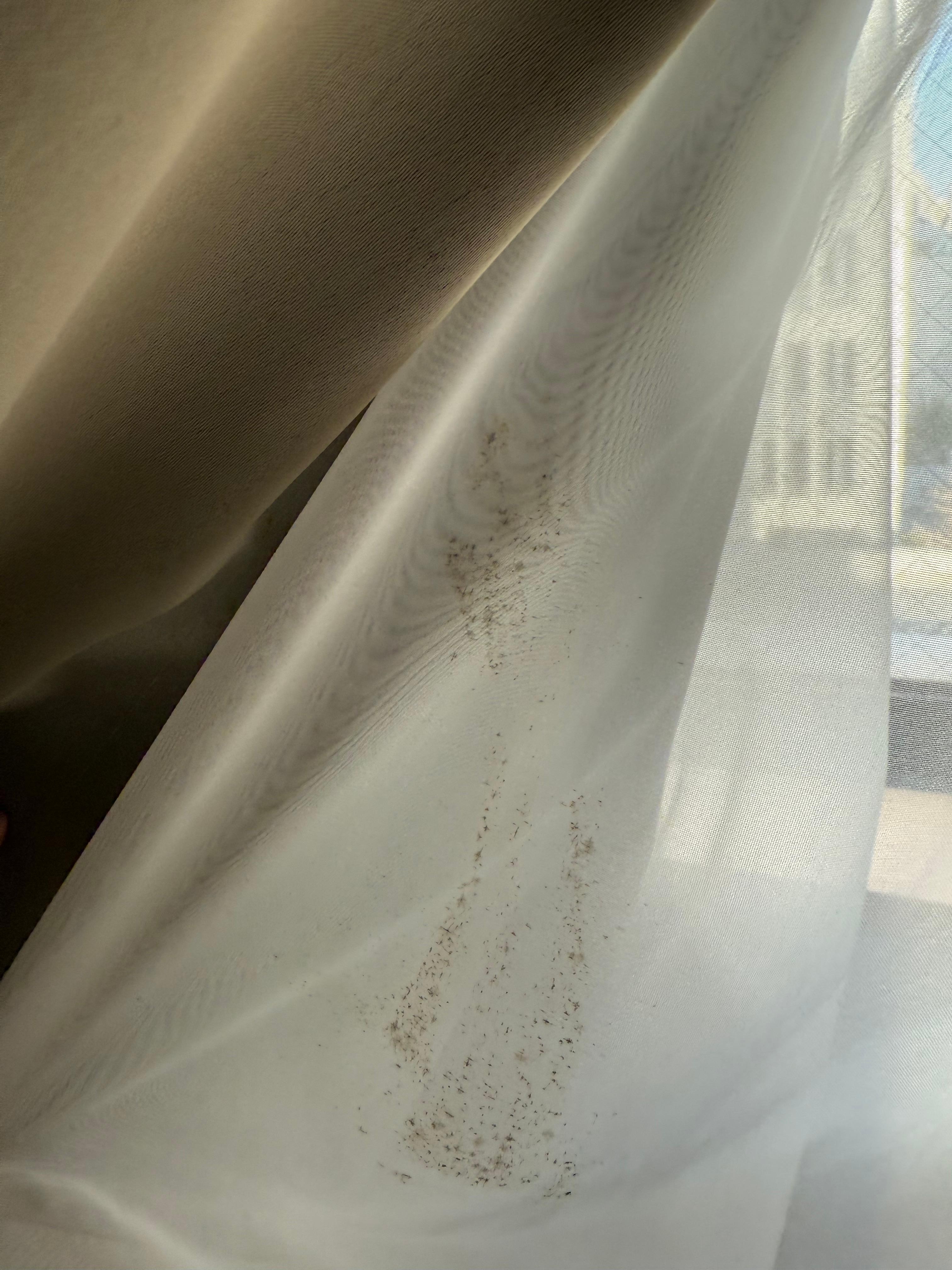 Dirty curtains 