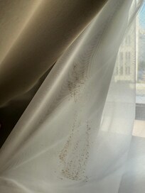 Dirty curtains