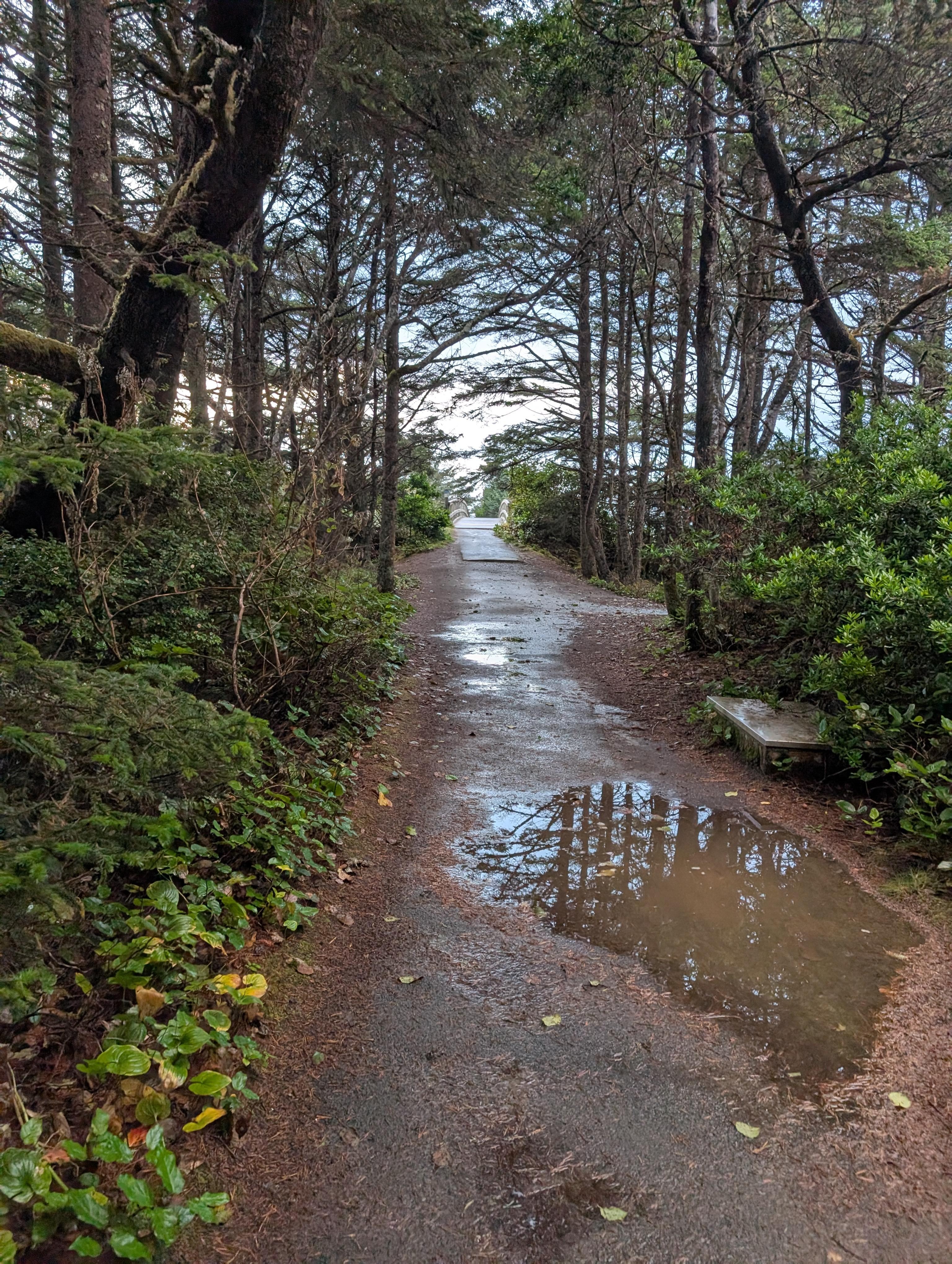 Bridge at a park 1/2 mile from house