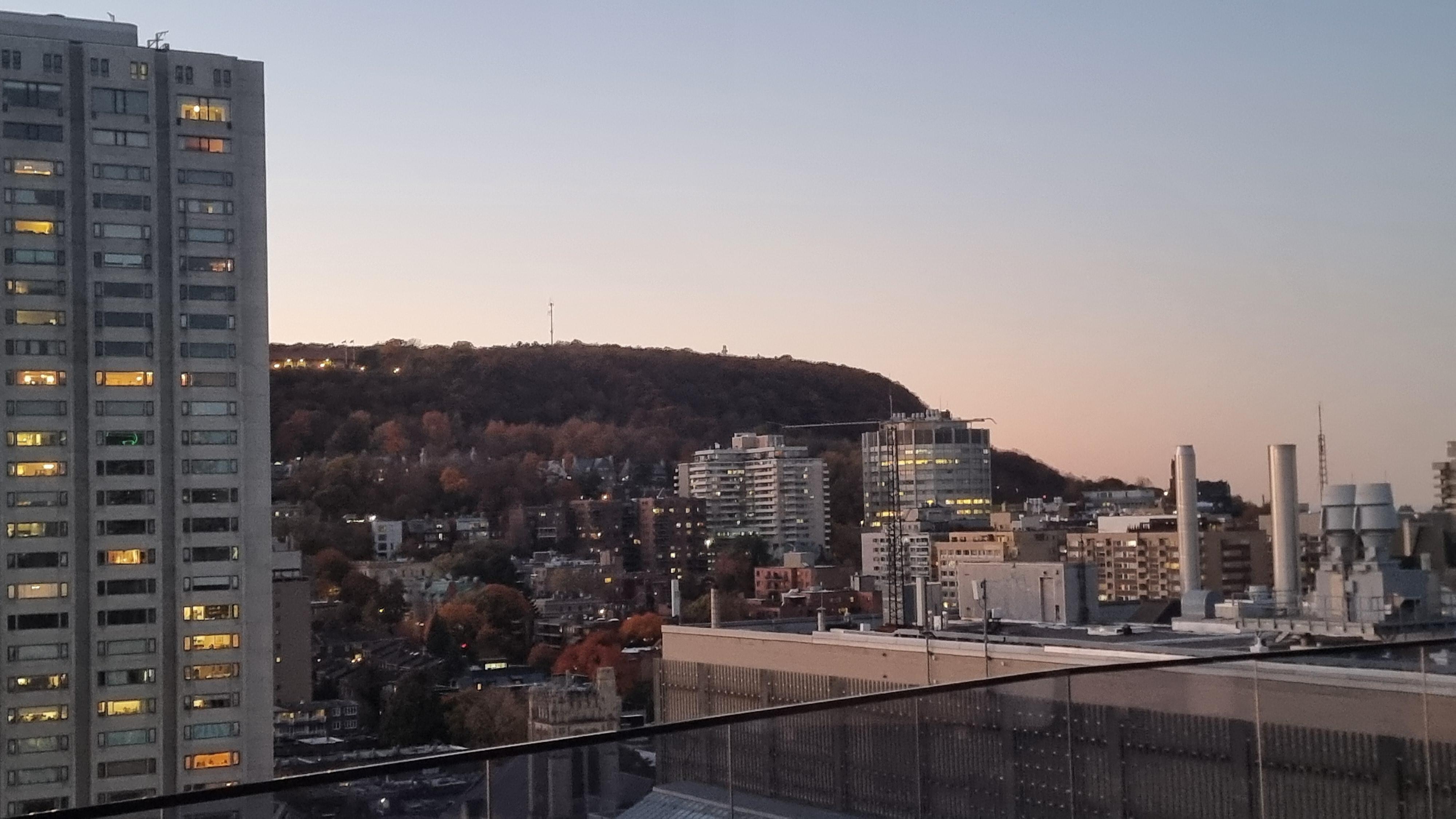 View from rooftop terrace