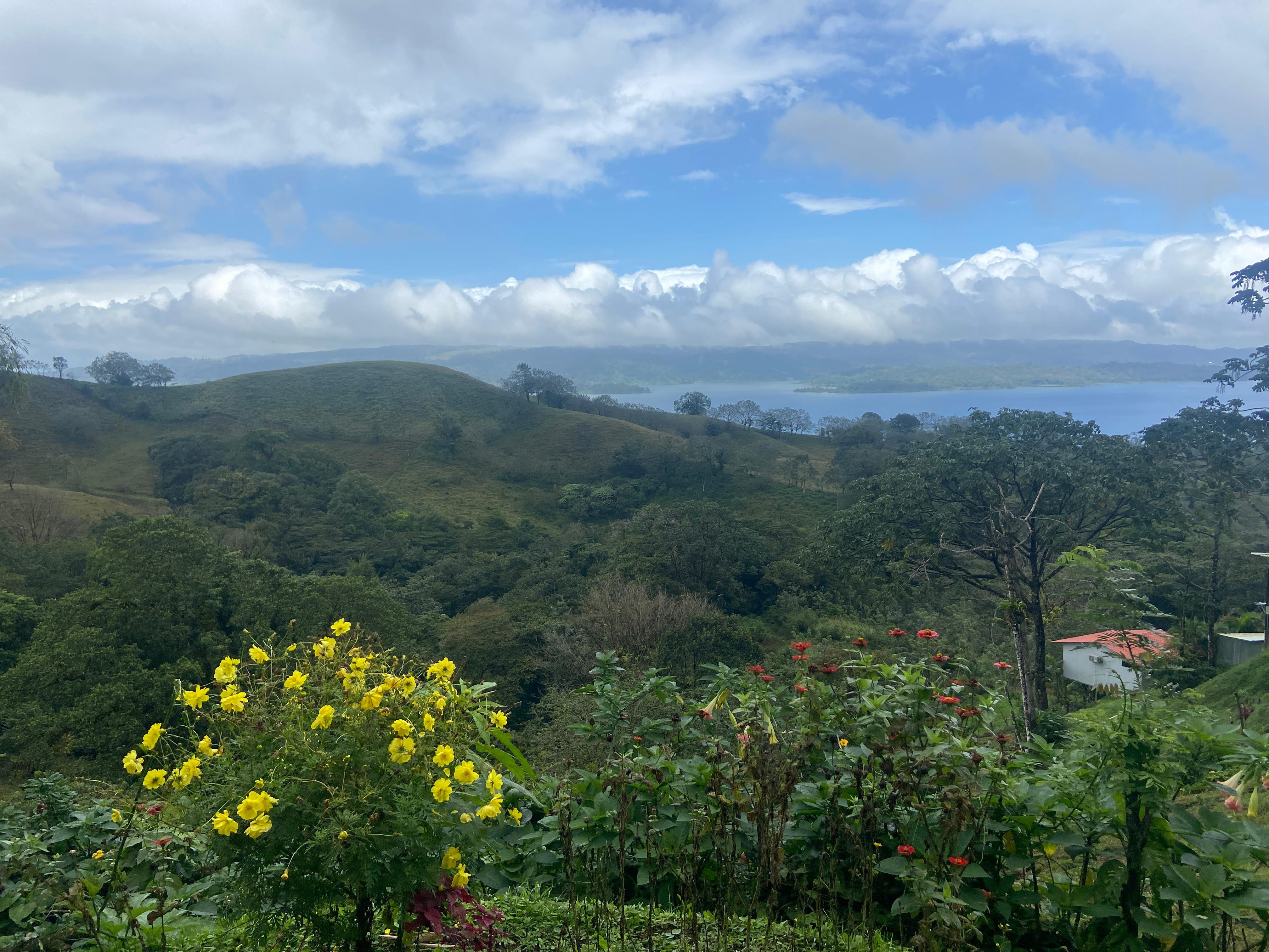Overlooking the lake 