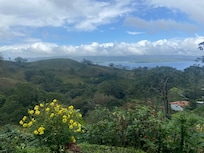 Overlooking the lake