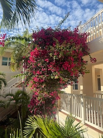 Beautiful lush flowers throughout