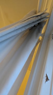 Mould on curtains