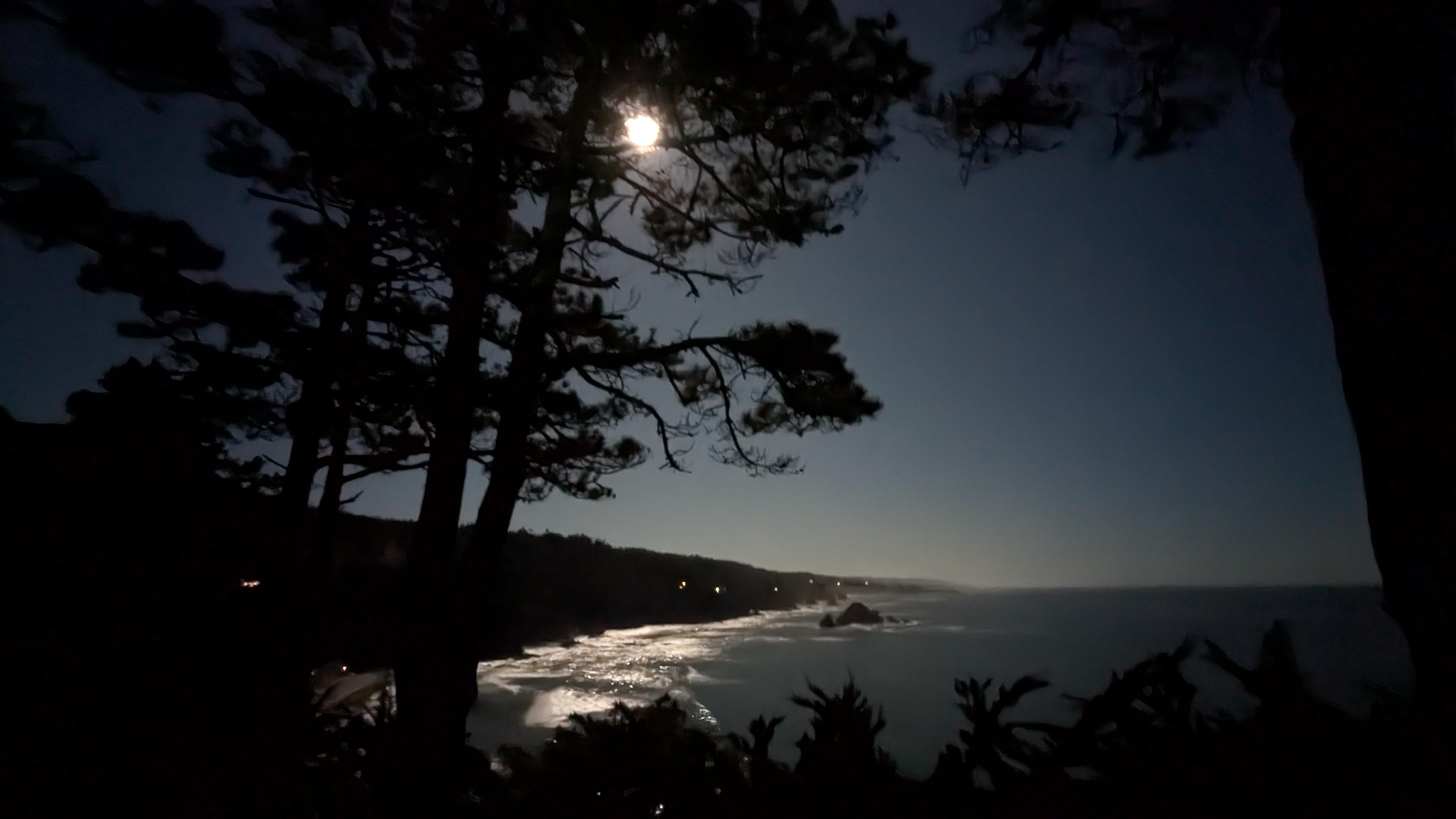 full moon view from whale room