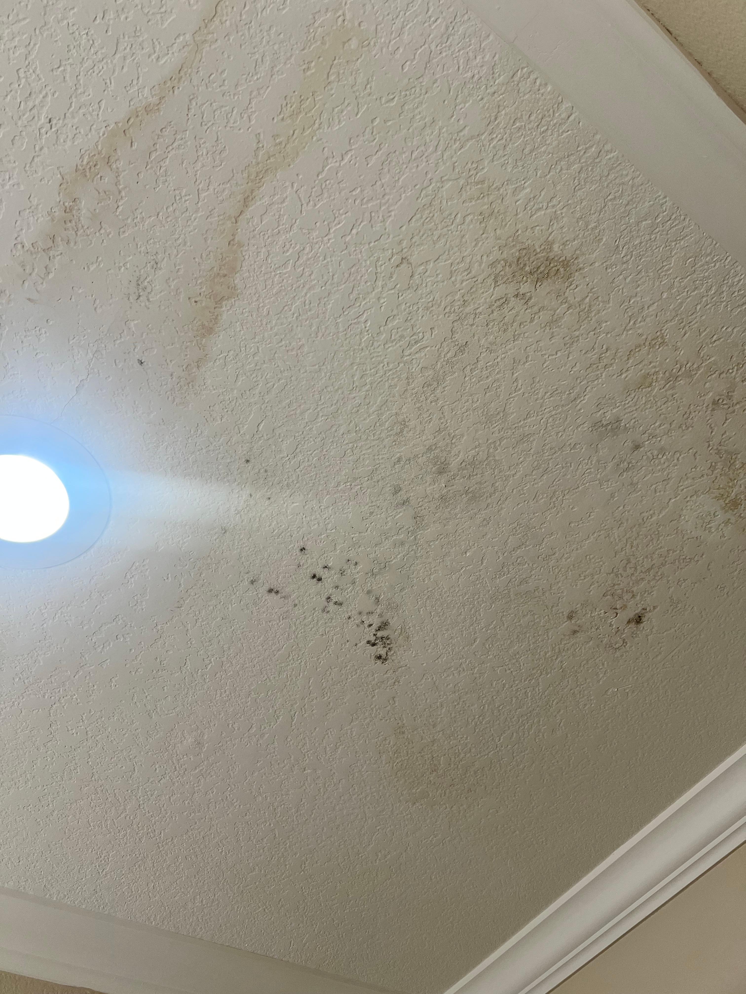 Ceiling in bathroom 