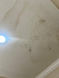 Ceiling in bathroom