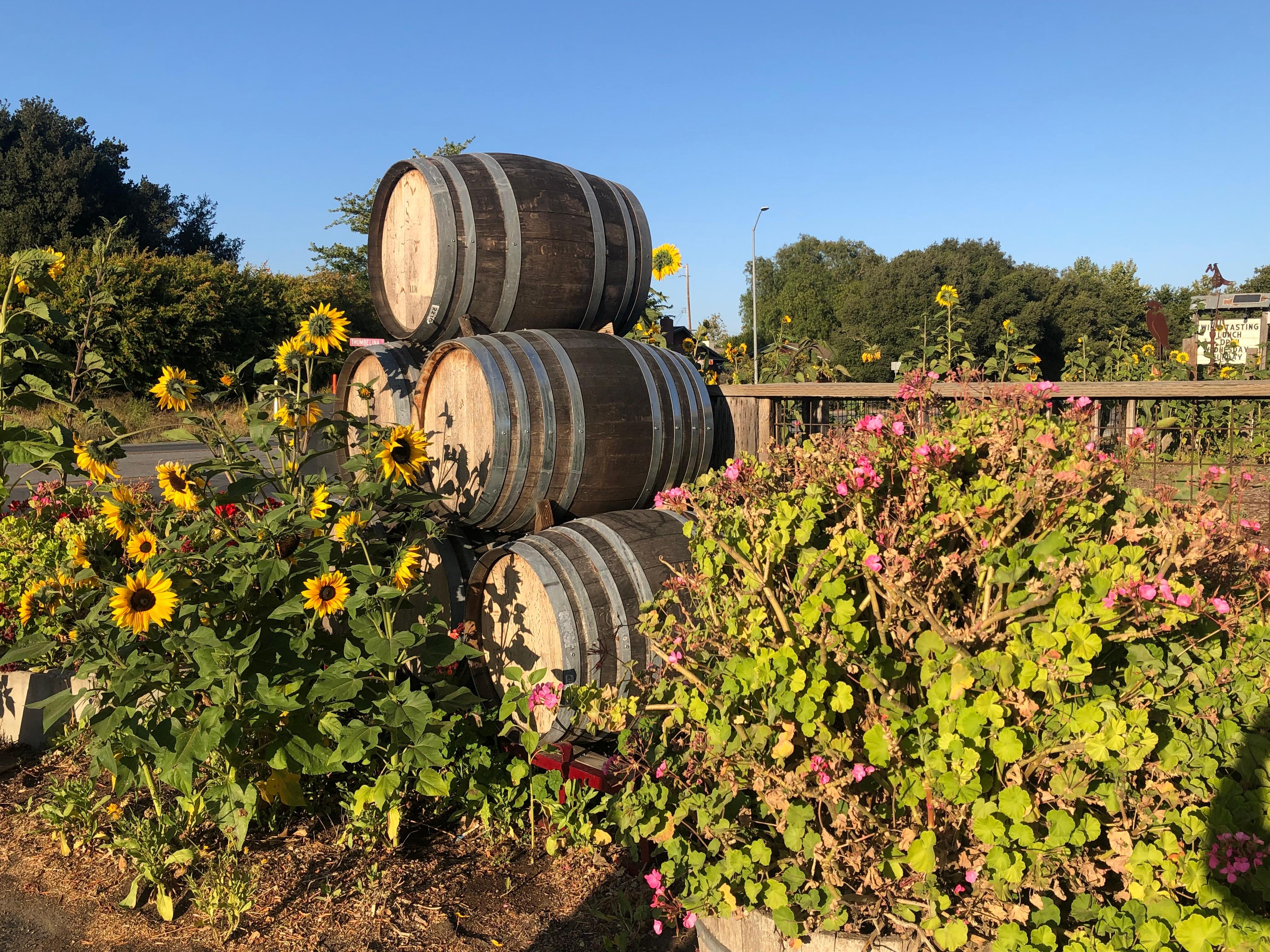 Beautiful area with flowers & vinyards!