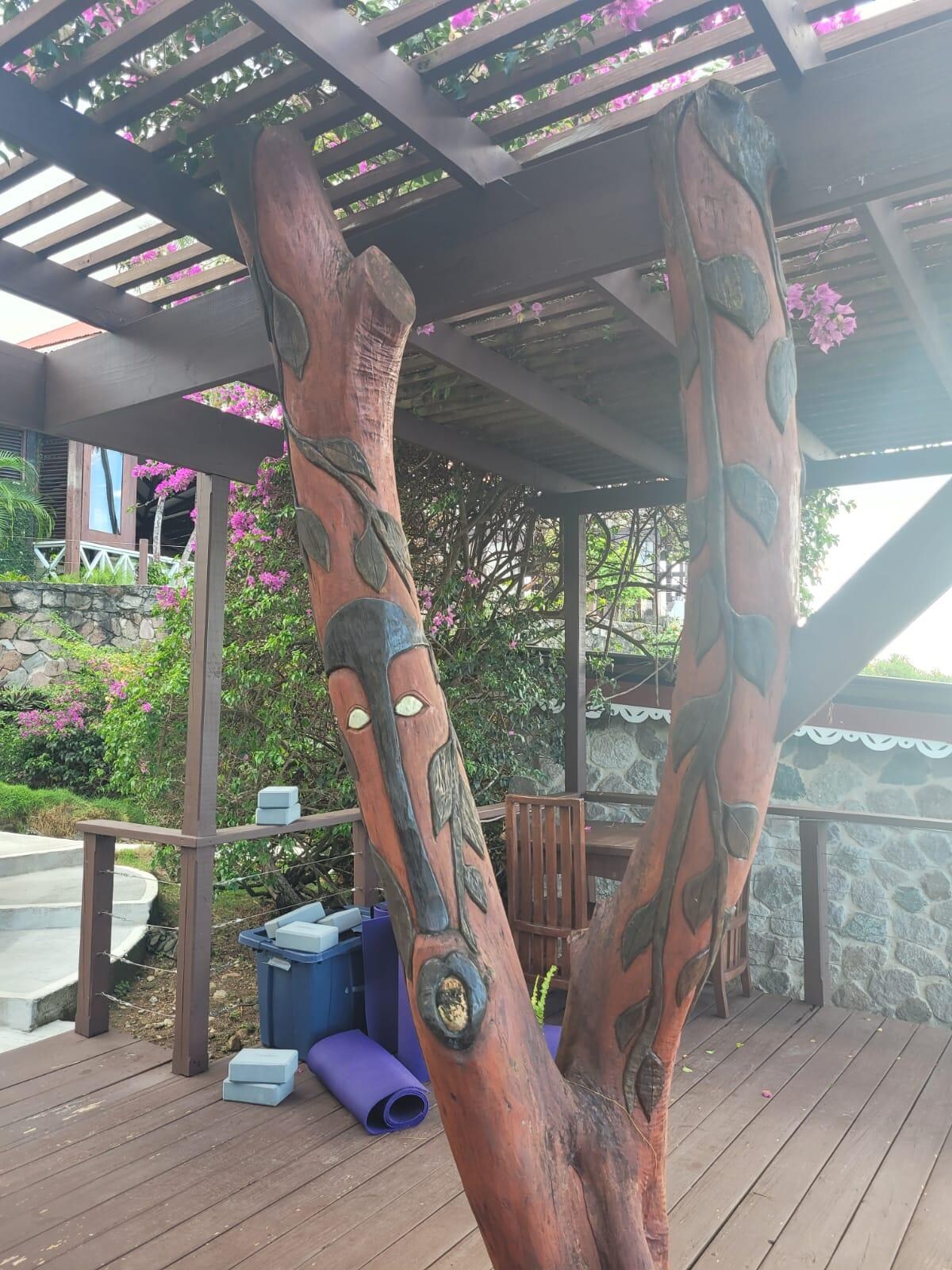 Awesome tree in the yoga area.