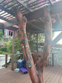 Awesome tree in the yoga area.