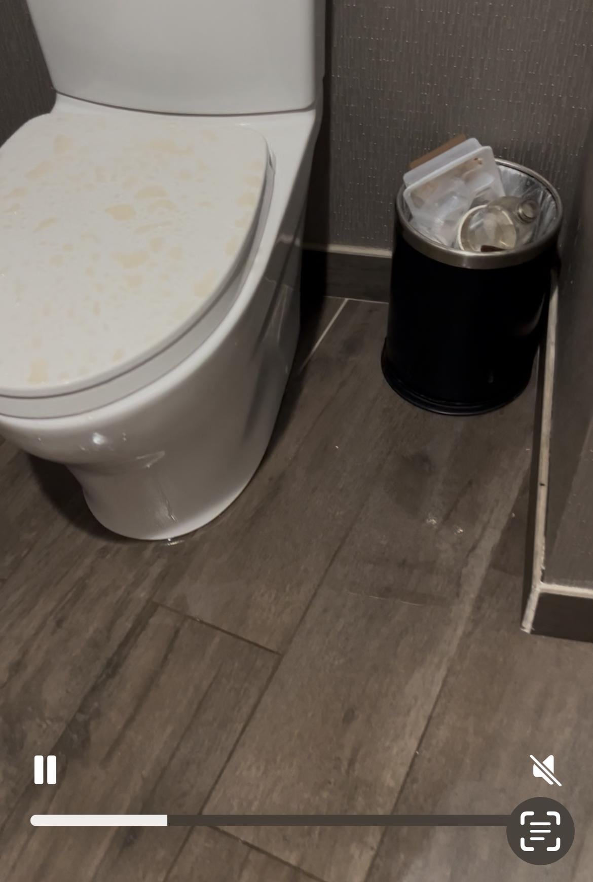 Sewage everywhere 
These were pics after we had cleaned a few times 