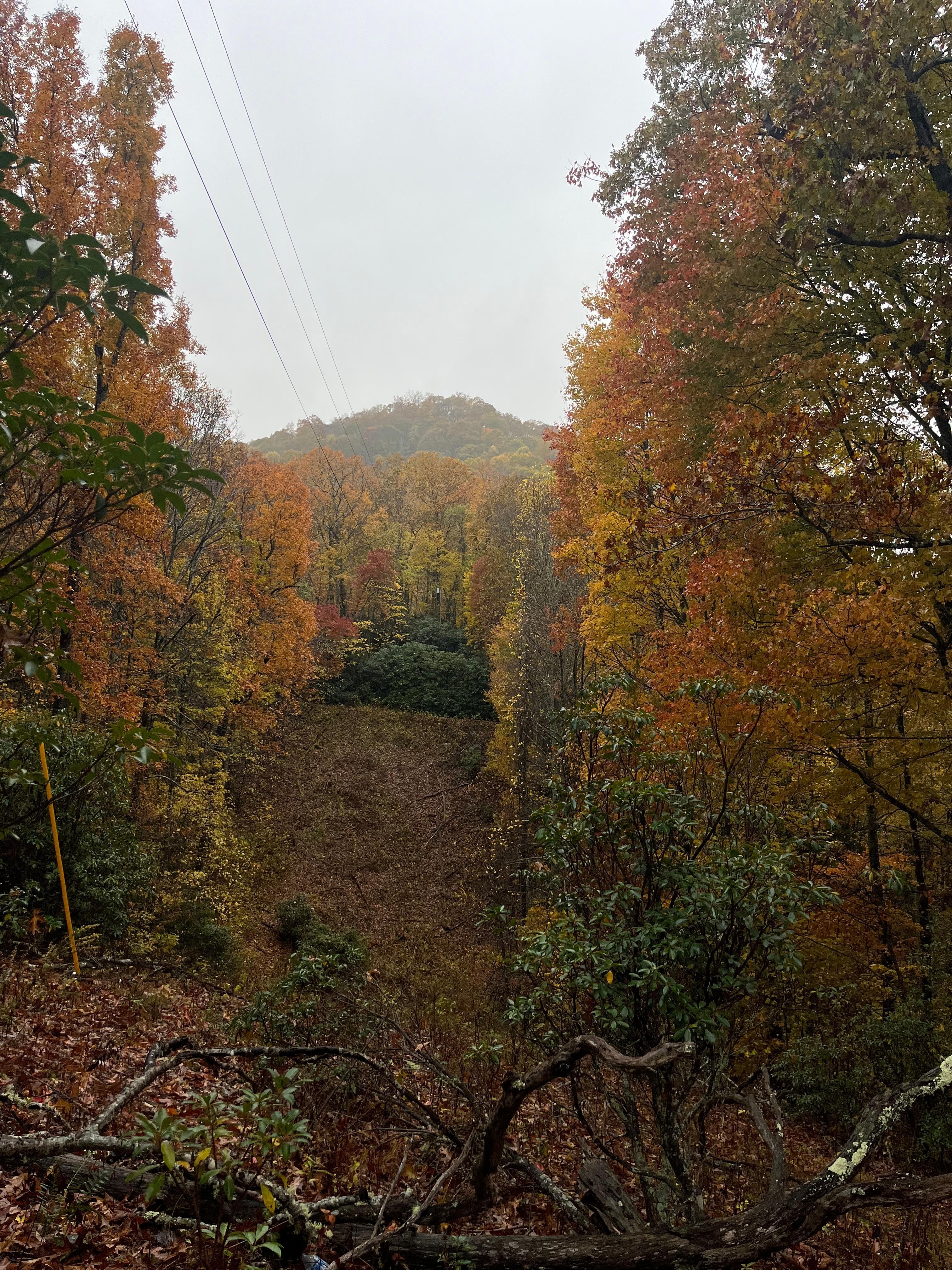 The top of Waterfall Hollow