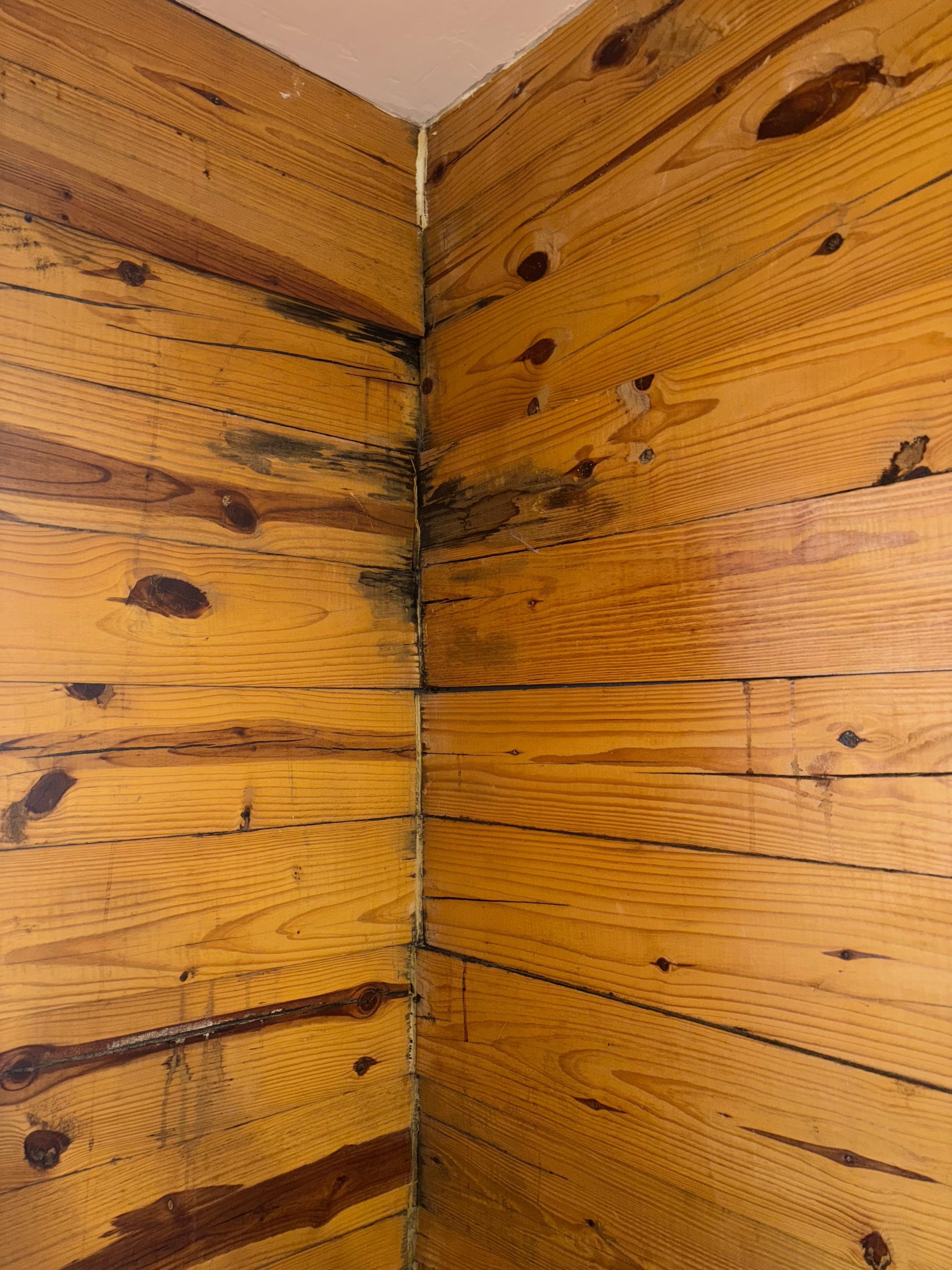 Water damage in bedroom with king bed