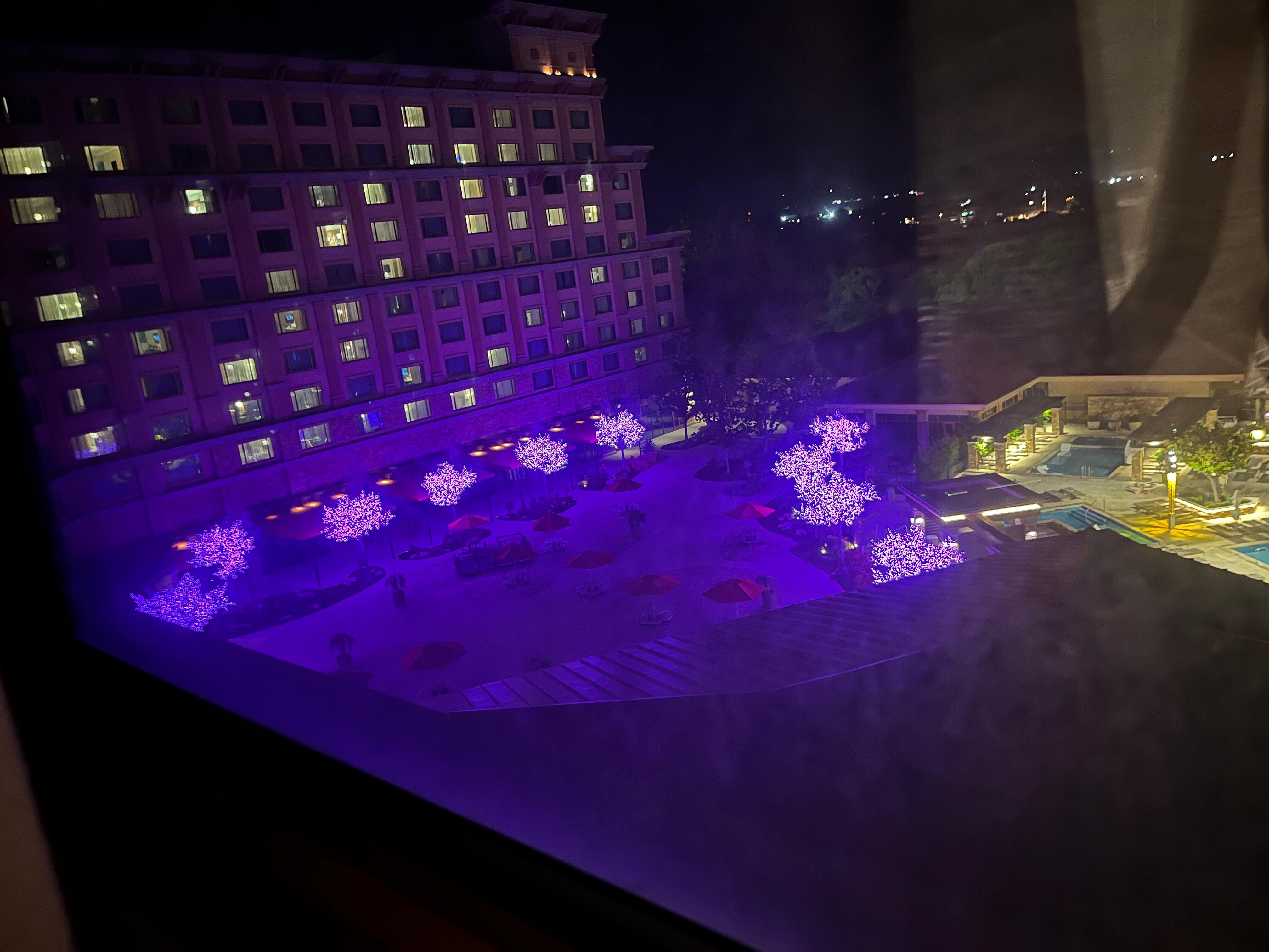 There were beautiful pink lights on the trees in the evening outside the pool area. Very pretty. 