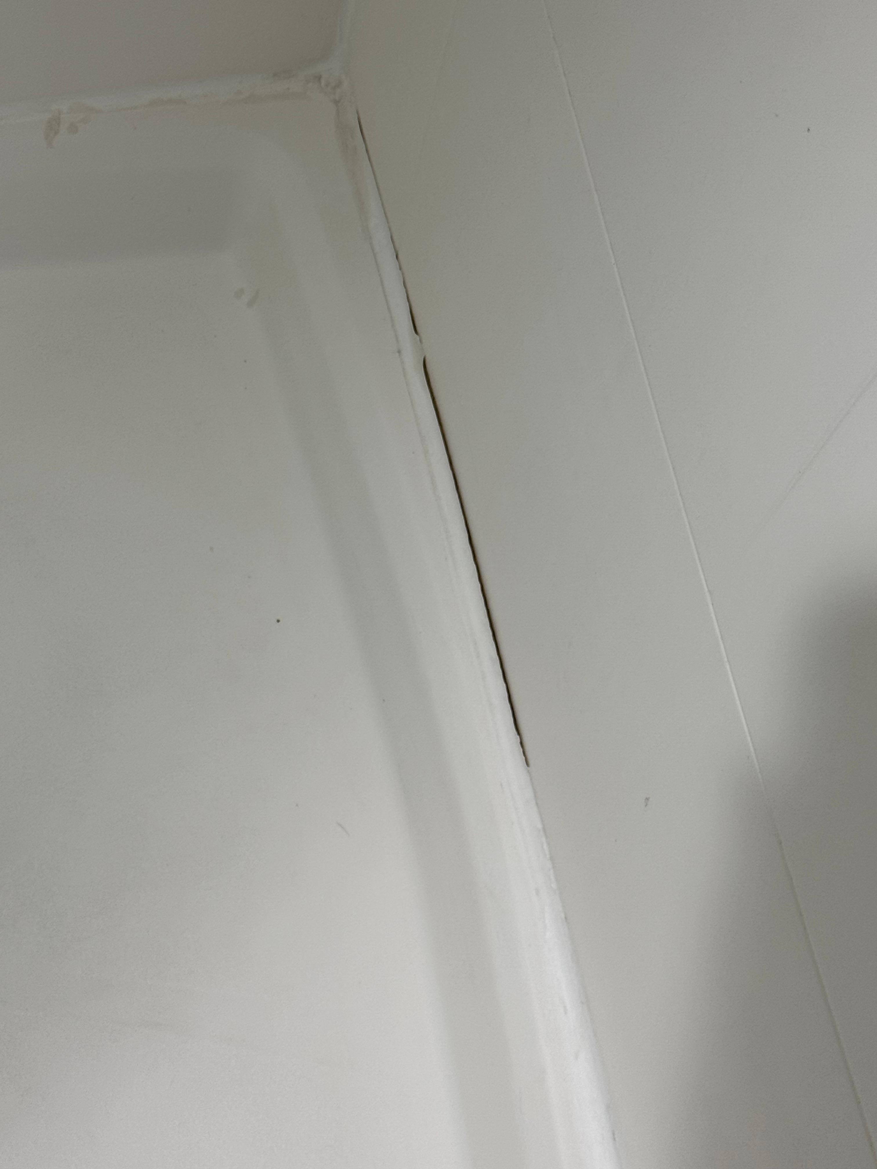 Black mold under caulk 