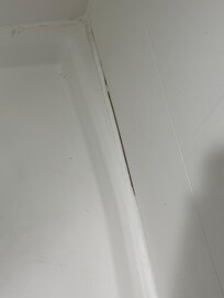 Black mold under caulk