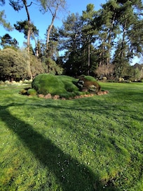 Jardin des plantes
