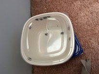 Stink bugs