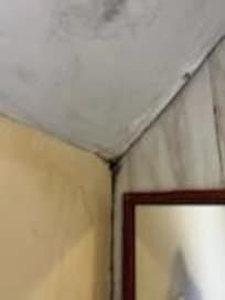 mold everywhere in batroom, paper hanging off