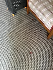 Really , that was by our bed .