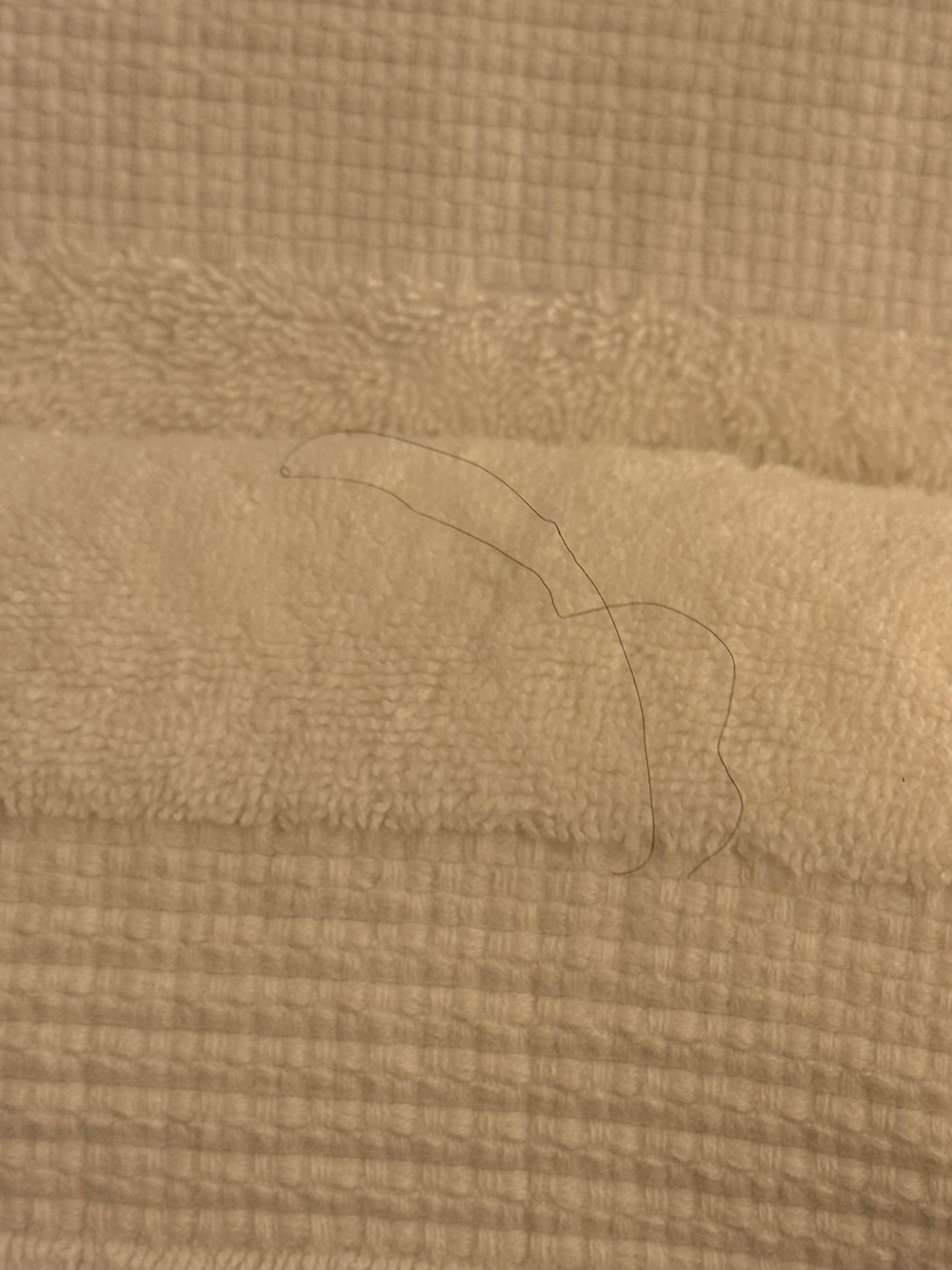 Towel